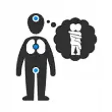 Reaktionen des Körpers beim Sex Reaktionen des Körpers beim Sex