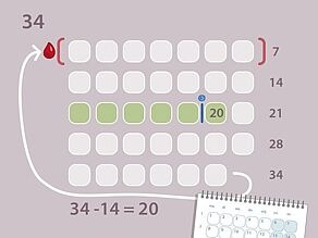 Voorbeeld 3 - regelmatige cyclus van 34 dagen: de eisprong zal plaatsvinden rond dag 20 van de cyclus. U kunt ongeveer 5 dagen voor en 1 dag na de eisprong zwanger worden.