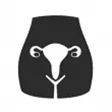 Innere Sexualorgane der Frau Innere Sexualorgane der Frau