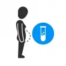 Schwangerschaftstest Schwangerschaftstest