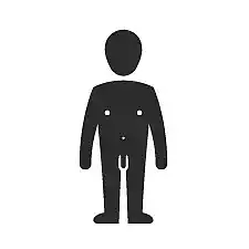 Körper des Mannes Körper des Mannes